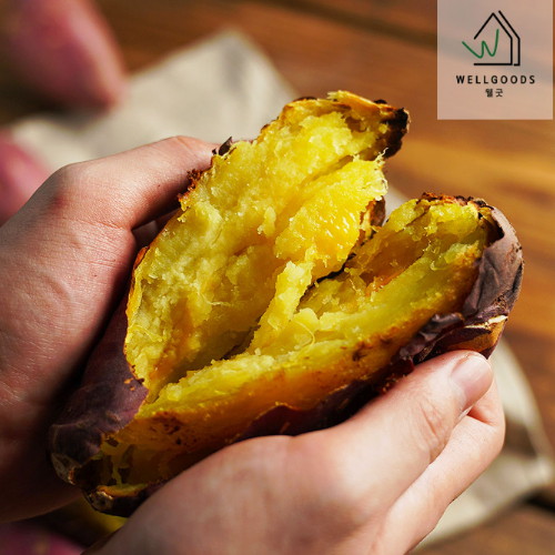 웰굿 해남 황토 밤고구마 한입 2kg