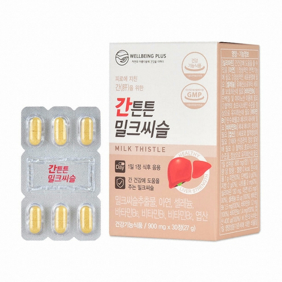 웰빙플러스 간튼튼 밀크씨슬 30정 (6개)