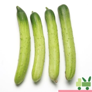 [불명] 백다다기 오이이미지입니다. 누르면 해당 게시물로 새창이동합니다.