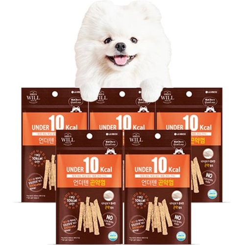 에이치디씨 LG생활건강 시리우스 윌 언더텐 곤약껌 20g (5개)
