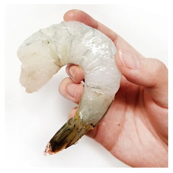 비비수산 칵테일<b>새우</b> 대 50~60개(마리) 1kg