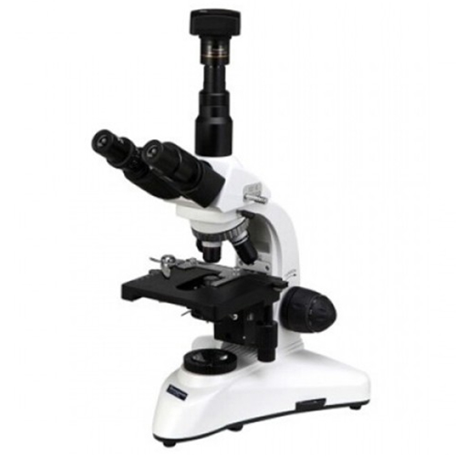 DEM-TMD 생물현미경