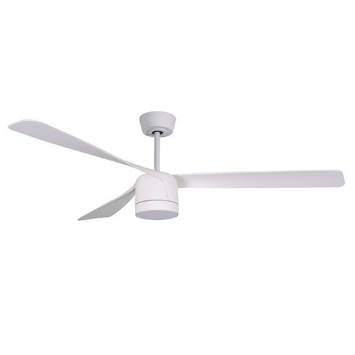 루씨에어 페레그린