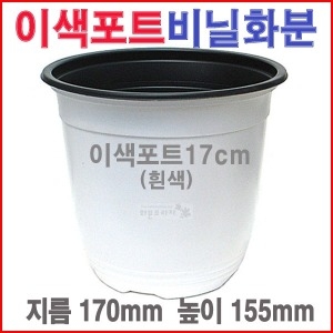 이색포트17cm 흰색  비닐 플라스틱 블루베리 모종화분