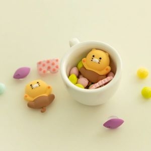 ��ǰ �� �̹���