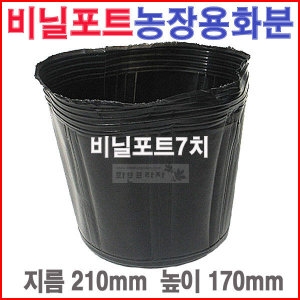 비닐포트7치 5개 /칼라/육묘농장/블루베리/모종화분_이미지