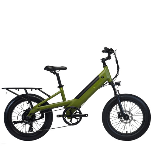 알톤스포츠 코디악 D20 DUAL (2024년형) (48V, 15Ah)