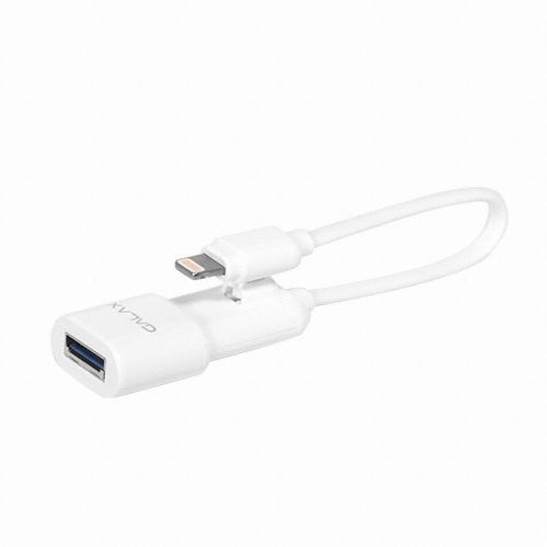 갤럭시 GALAX iDUO COBRA OTG (32GB)