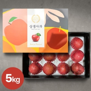 더조은푸드 더조은 빨간사과 실속 선물세트 5kg / 14-15과_이미지