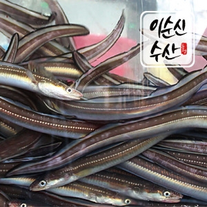 ��ü������ �뿵 �ڿ��� �ֳ���� �� 1kg 4-5����