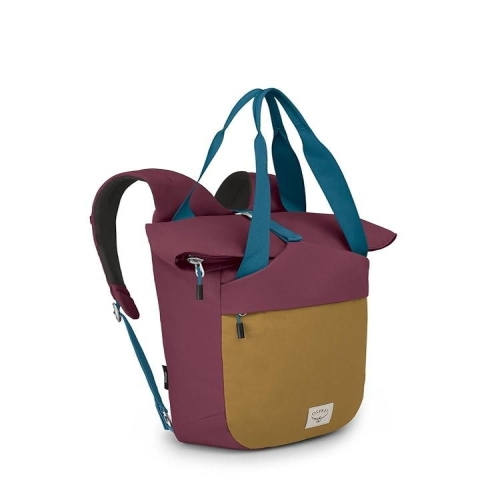 �������� Arcane ���� ž ��Ʈ �� Allium ����/�기�� ���� 286627