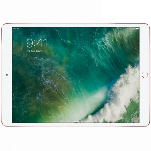 APPLE iPad Pro 10.5 Cellular 해외구매 (512GB)_이미지