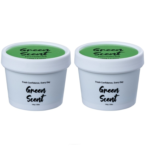 엔씨에스 그린센트 에브리데이 고체 탈취제 피톤치드 편백향 100g (2개)_이미지