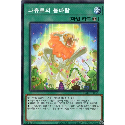 �ڳ��� ����� �ѱ��� ������ ���ٶ� ��� DABL-KR064