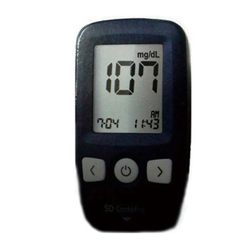 SD���̿����� SD �ڵ�����