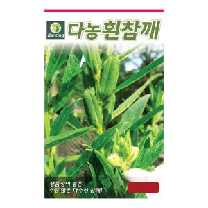다농 흰참깨 씨앗 (3000립)_이미지