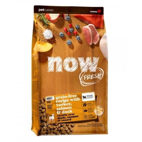 ��ť���� ����(NOW) �� ������ �ú긮�� ���Ʈ 1.36kg