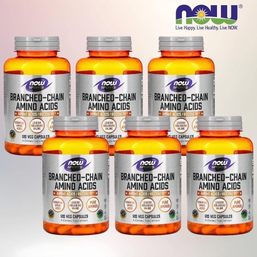 ����Ǫ�� ������ BCAA �����罽�ƹ̳�� 120ĸ��