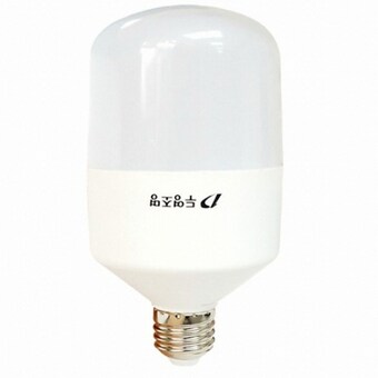 두영조명 LED EL 글러브 보안등 주광색 20W