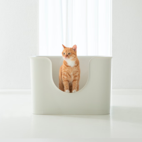 두잇 푸푸박스 큐브 화이트 고양이 화장실