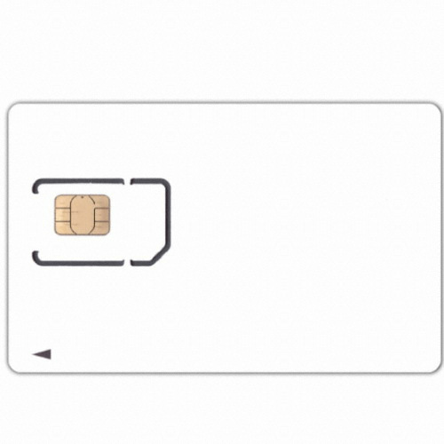 ����Ʈ��ũ ���Ϻ����� 1�� 300MB