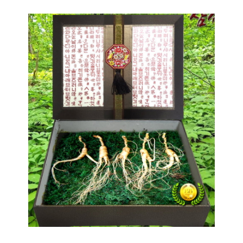 ��ǰ �� �̹���