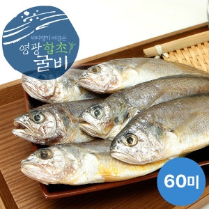 ���� ���������� ������������ 60g