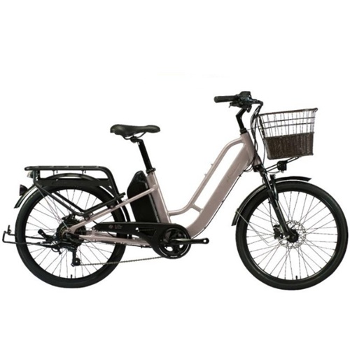 알톤스포츠 알마타 247 DUAL (2026년형) (48V, 20Ah)_이미지