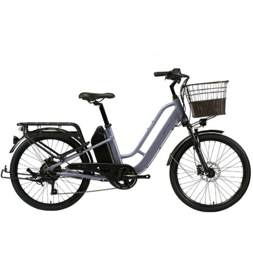 알톤스포츠 알마타 247 DUAL (2026년형) (48V, 20Ah)_이미지