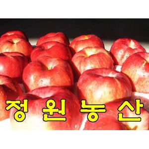 ������� ����°�Դ»��10kg�����⽺ �޻�� ��� ���������� ȫ��.�Ƹ���