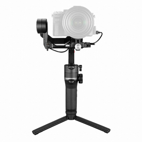 ������ ���� S ����