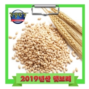  쌀맛나네 곡물창고 겉보리 1kg [1개]