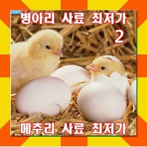 한솔이 이쁜싸다몰 병아리사료2_이미지
