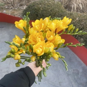 �������� ��ȭ 10�ٱ�