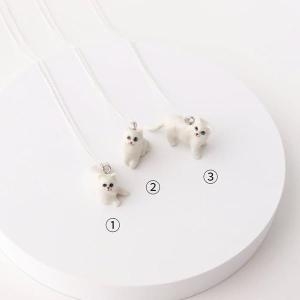 셀러허브 페르시안 고양이 오드아이 은목걸이 집사템 집사선물 S11194783_이미지