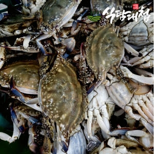 식탐대첩 급냉 암꽃게 9~15미 3kg (1개)_이미지