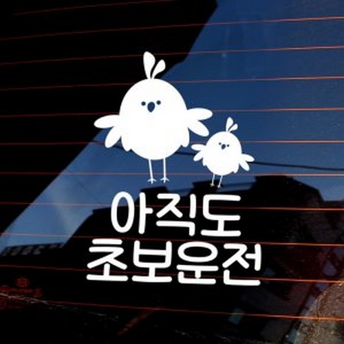 뭉키월드 초보운전 병아리새 아직도 초보운전 스티커 LSC-660 (화이트)_이미지