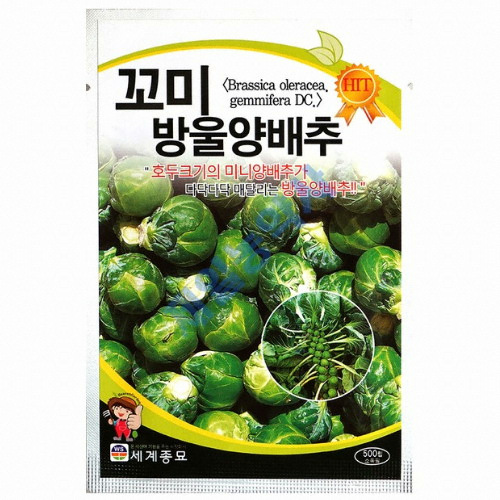 �������� �Բ��� ������� ����