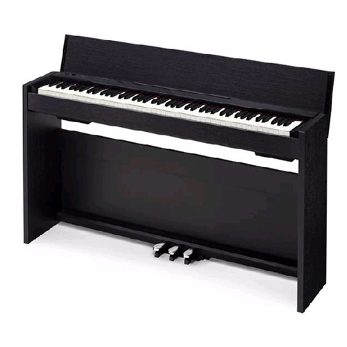 카시오 프리비아 PX-830 (일반)