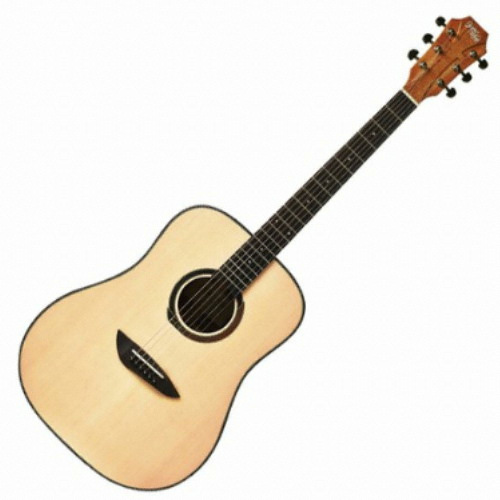 고퍼우드 G100 NA (유광)