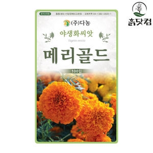 다농 메리골드 100립 야생화씨앗_이미지
