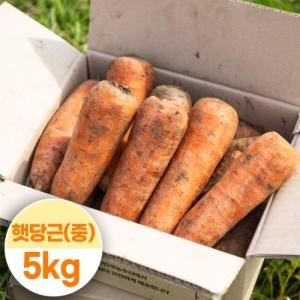 대한민국농수산 국내산 햇당근 주스용 중 5kg이미지입니다. 누르면 해당 게시물로 새창이동합니다.