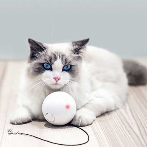 �����ɾ� ����ƮĹ�� �����̴� ������ �� �ڵ��峭��