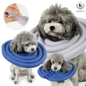 딩동펫 초경량 넥카라 (XS~2XL)