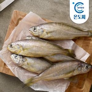 �µ��� ������ �� 1kg����