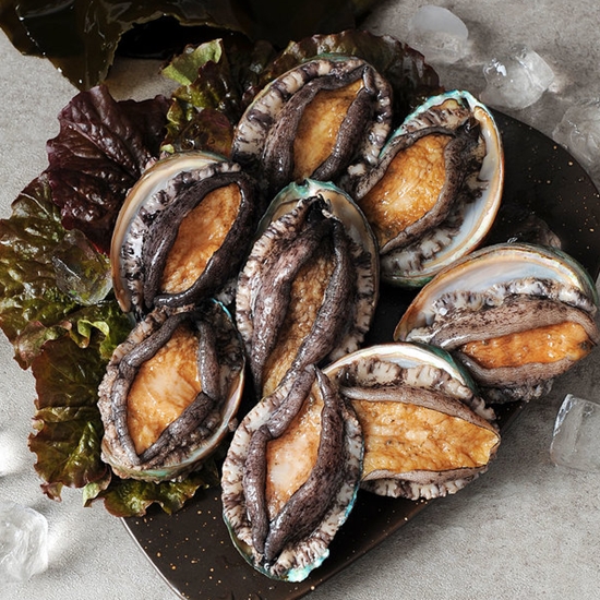 �ٴټ�ǳ�������չ��� �ϵ� Ȱ���� 10~11��(����) 1kg