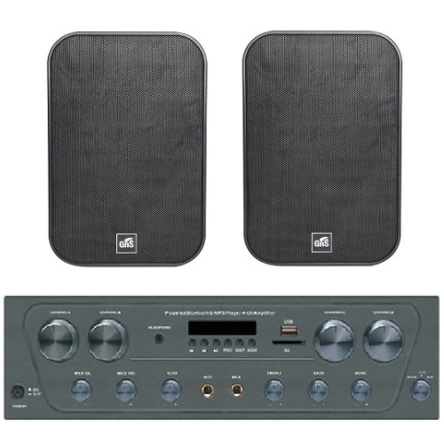 GNS MA-240 + GIPS-40 (스피커, 1조)_이미지