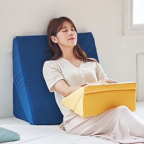 세레스홈 식스모션 미니쿠션_이미지