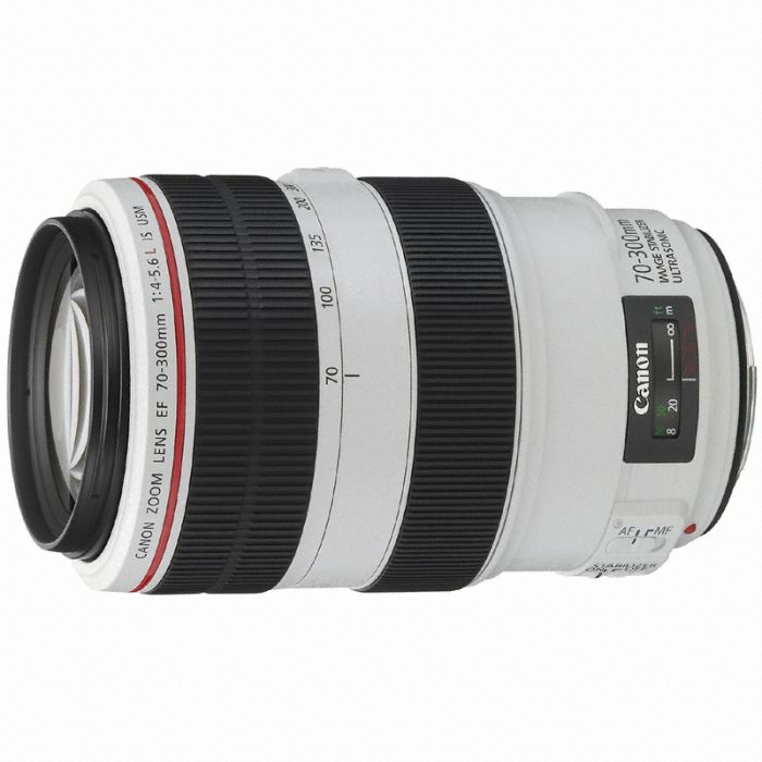 캐논 EF 70-300mm F4-5.6 L IS USM