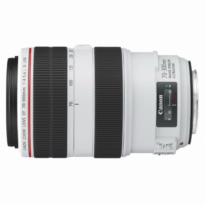 캐논 EF 70-300mm F4-5.6 L IS USM (정품)_이미지